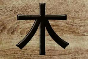 八字五行缺木是什么意思 八字中的五行缺木怎么办